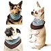 Outward Hound Coolit Bandana Blue Large