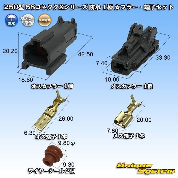 ▪️専用▪️ 248058 クラッチアセンブリ BIGM(丸山製作所) 54ヨウクラツチ仕様