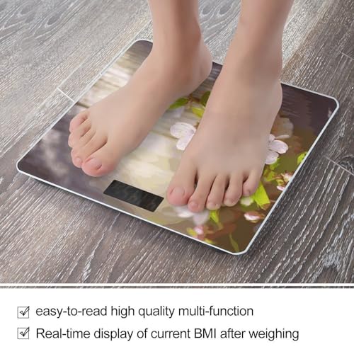 Báscula de baño digital con vidrio templado y pantalla LCD miniatura 5
