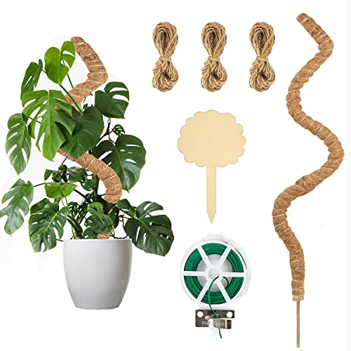 Find The Best Moss For Moss Pole Reviews & Comparison Katynel