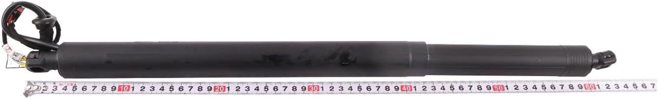 HOLDWELL LH Support Cylinder 81831R0100 Compatible with Kia Carnival 3.5L 2022-2024