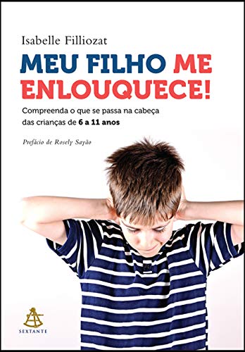 Meu filho me enlouquece!: Compreenda o que se passa na cabeça das crianças de 6 a 11 anos