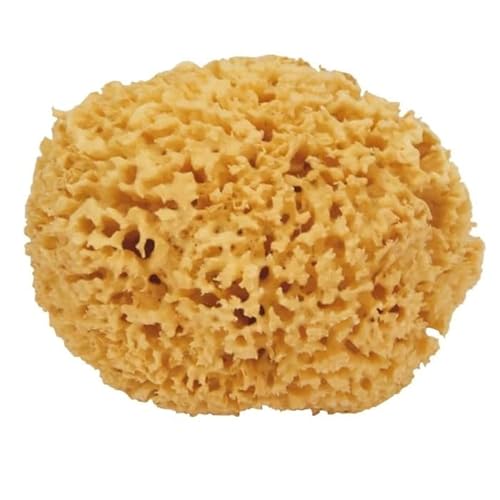 Aziamor Brown Spugna Naturale Grande Diametro 10cm per Pelli Sensibili e Secche per Adulto o Neonato