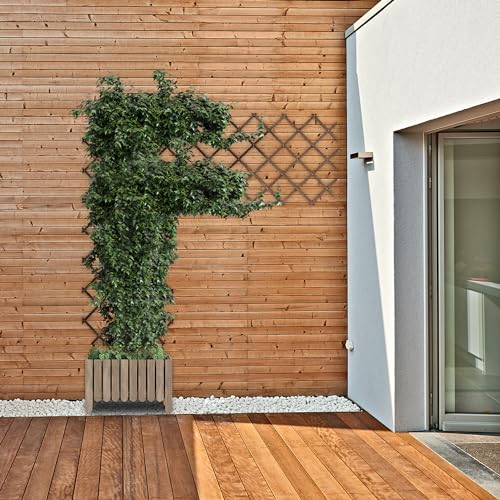 Guías plantas enredaderas para optimizar el espacio vertical en jardines pequeños 6