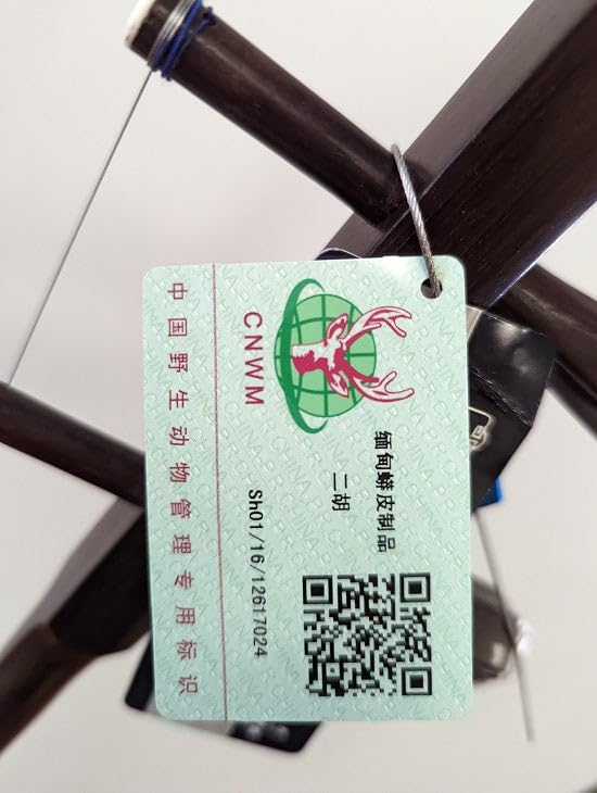 Collection Dunhuang Yun Erhu Chinese 2-string Violin Fiddle Musical Instrument - Image 4