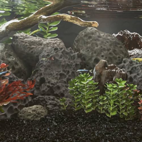 Materiale naturale: Le rocce di lava vulcanica sono 100% naturali e sicure, non influiscono sul pH né sulla chimica dell'acqua e sono adatte sia agli ambienti di acqua dolce che di acqua salata.