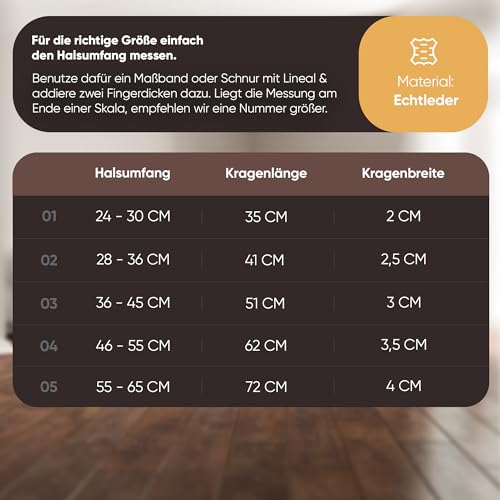 Michur Minimo Hundehalsband Leder, Lederhalsband Hund, Halsband, Braun, Leder, in verschiedenen Größen erhältlich