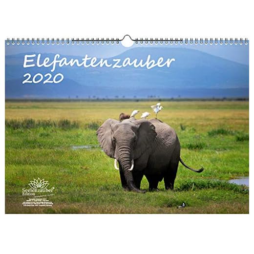Elefantenzauber - Calendario 2020, DIN A3, diseño de elefantes