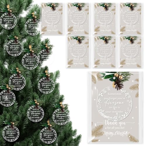 Kasyat Conjunto de 24 enfeites de agradecimento, ideias de presente de agradecimento de Natal a granel para funcionário, colega de trabalho, enfermeira, professor, equipe de trabalho, decoração de