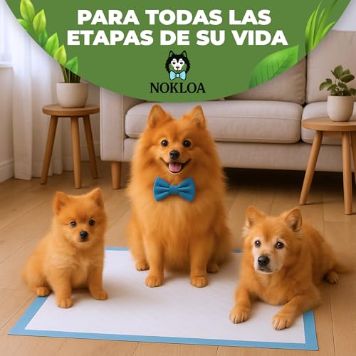 Miniatura 4 de Nokloa Empapadores Perros 60x60 Con Olor Césped Pack 50 Nokloa Almohadillas Entrenamiento Perro Tapetes Absorbentes Desechables