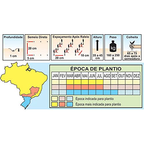 Semente Hortaliças Beterraba Early Wond 100 g