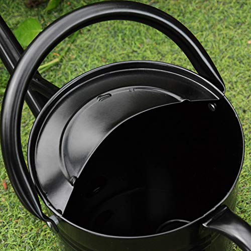 yourjoy Galvanized Metal Watering Can with Long Spout, 4L One Gallon Watering Can for Outdoor Indoor House Garden Plants, Black