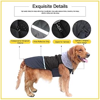 pet circle dog clothes