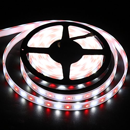 Kit Tira de Luces LED Flexible 12V 10m RGB Blanco Cálido miniatura 5
