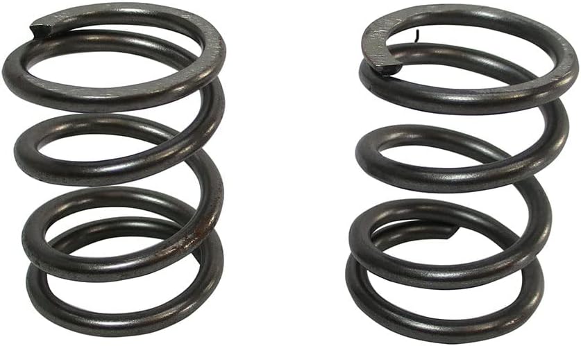 ARC Racing (2) Pack of 26Lb Valve Springs, White
