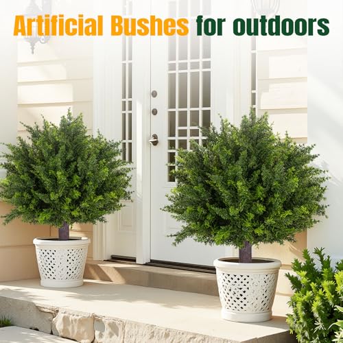 24.5 Inch Set of 2 Topiary Cedar Trees  - image 5