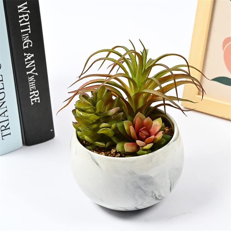Alberi Artificiali Piante grasse Artificiali da 20 cm in Vaso di Ceramica Piante Artificiali in Vaso Piante grasse finte in Vaso Piante grasse finte da Interno for mensola Domestica Tavolo da Cucina
