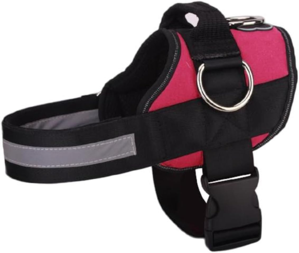 Joyride Basic Essential Dog Harness 1.0 - Small, Medium, Large Dogs, No-Pull Pet Vest with 3 Side Rings for Leash Placement, Adjustable for Training (Rose Red, XS)