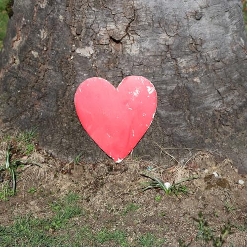 Carl Jung and the Sioux Tradition: Psychology and the Psyche