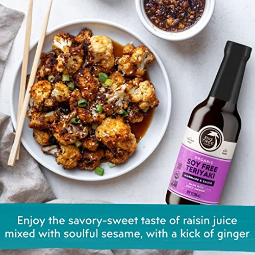 Big Tree Farms Organic Coco Aminos - Liquid Coconut Aminos, Soy-Free Sauce, Low Sodium, Soy Alternative, Gluten Free, Kosher, Marinade & Sauce, Non-Gmo thumb #2