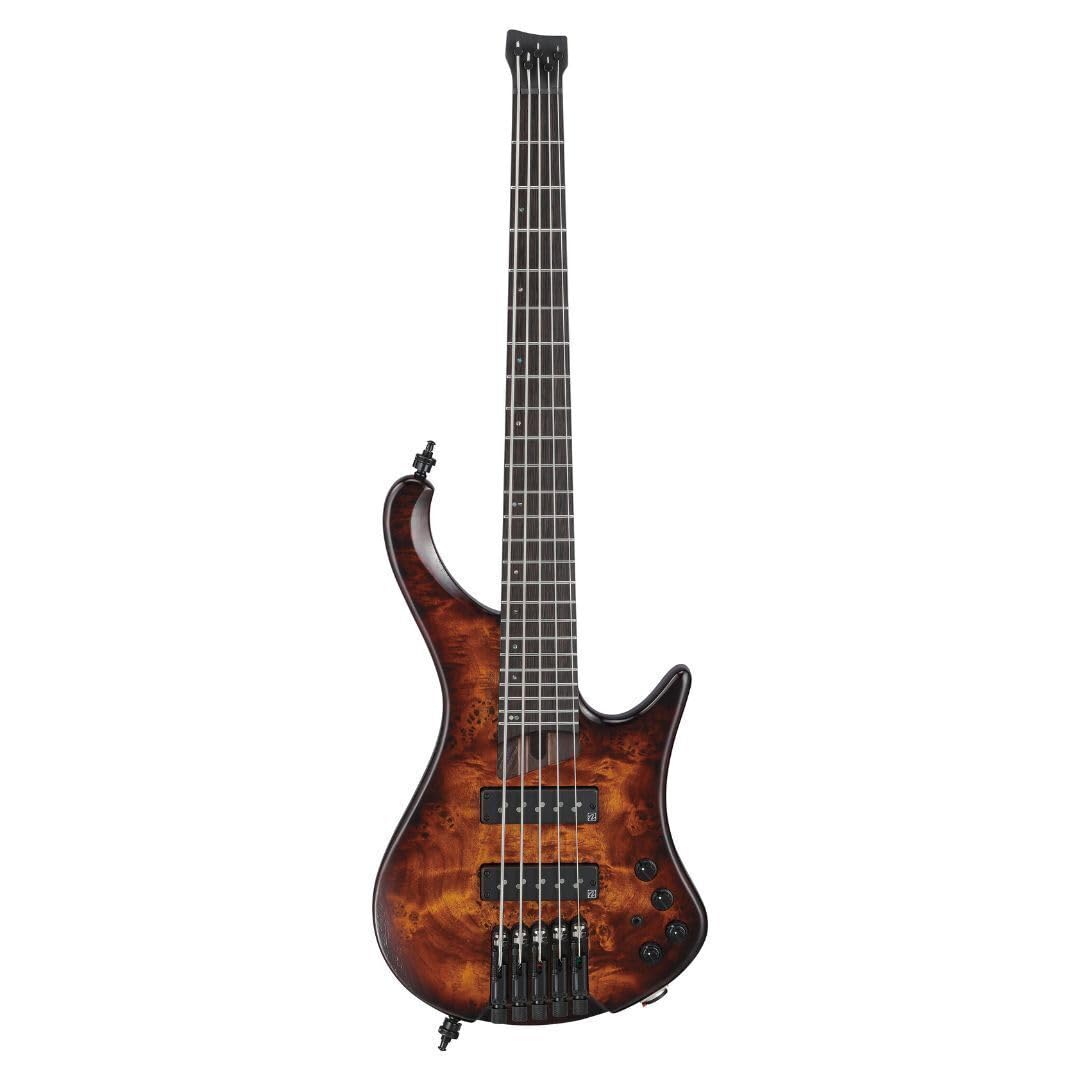 Amazon.com: Ibanez EHB Ergonomic Headless 5-string Bass