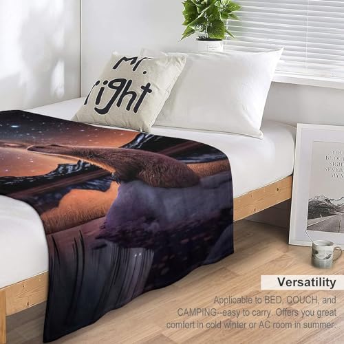 Couverture castor douce pour oublier le froid sur votre canapé - 7