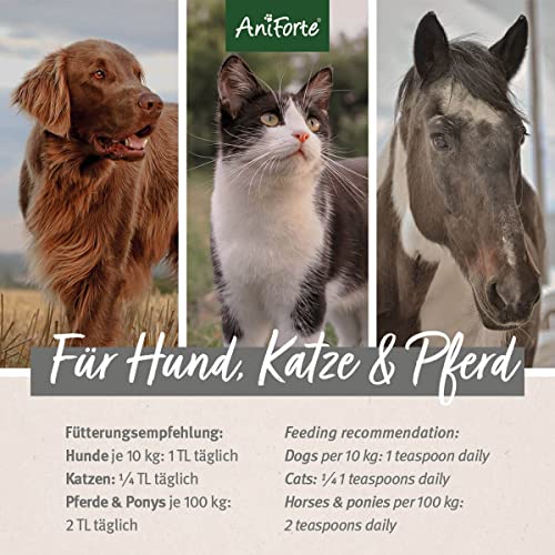 AniForte-Omega-3-Salmon-Oil-for-Dogs-Cats-Horses-1-Litre-Cold-Pressed-Rich-in-Omega-3-and-Omega-6-Fatty-Acids-Fish-Oil-Barf-Supplement-Natural-Pure-No-Additives-Easy-Dosage