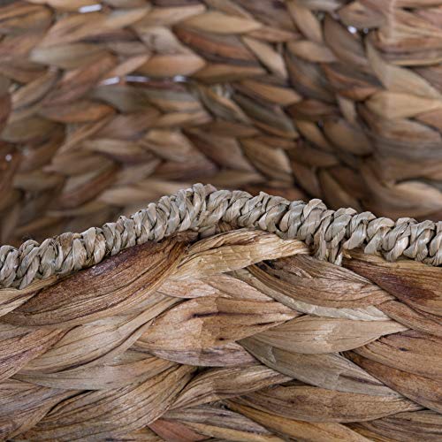 Image of Bone Dry DII Medium Hyacinth Bone Shape Storage Basket, 21x13x8, Pet Organizer Bin for Home Decor, Pet Toy, Blankets, Leashes and Food