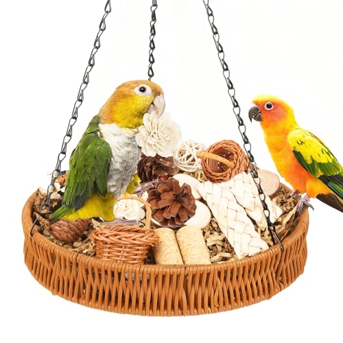 Natural Bird Toys Rattan Bird Foraging Box Parrot Shredding Toys Conure Chewing Toys for Cockatiel Lovebird Parakeet Budgie and Small to Medium Birds (Large)