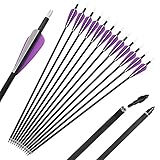 IRQ Archery 31Inch Carbon Arrow Practice Hunting Arrows with Removable Tips for Compound & Recurve Bow(Pack of 12)