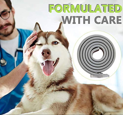 PROZADALAN Collare Antipulci Cane Impermeabile