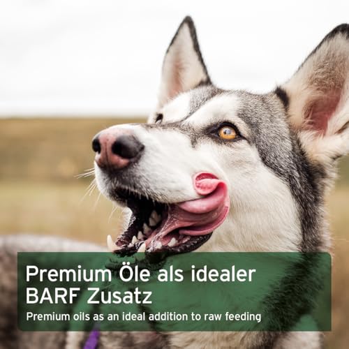 AniForte Barf Futteröl für Hunde 500ml– Natürliches, kaltgepresstes Premium Barf Öl, ideale Mischung reich an Omega 3 & Omega 6, artgerechter & ausgewogener Barf Zusatz