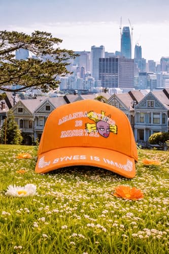 Image of Visibly Toxic Funny Baseball Cap for Men & Women, Embroidered Snapback Hat, Vintage Style, Adjustable Ball Cap for Adults