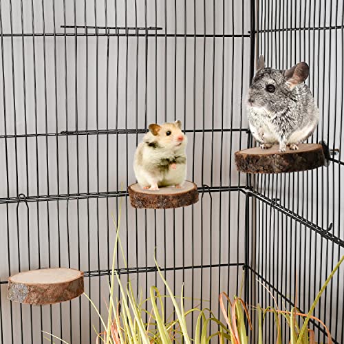Image of 36 PCS Bird Perches Stand Toy, Natural Wood Parrot Perch Stand Bird Cage Branches Platform Accessories for Parakeets Cockatiels Conures Macaws Finches Love Birds