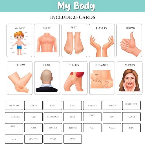 Image of Flash Cards for Kids | 100 Cards | Alphabet, Numbers, Colours & Shapes, My Body | Early Learning Preschool Activity Kit for 4+ Years | Brain Boosting Home Education | The Book Tree