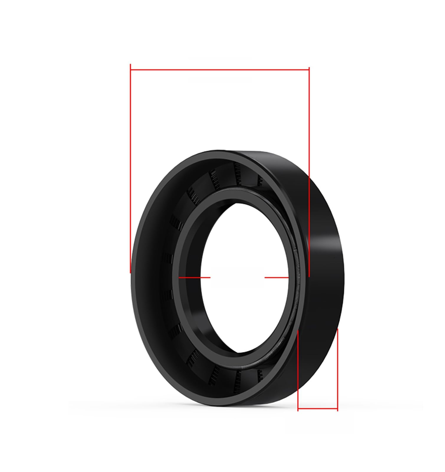 2 Stück Öldichtung 100mm x 125mm x 12mm, TC Öldichtung Doppellippe mit Feder, Schwarz