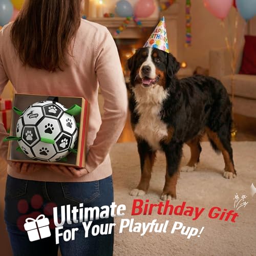 Image of QDAN 10 Inch Gaint Dog Soccer Ball with Straps, Durable Large Dogs Balls | Outdoor Big Dog Toys, Herding Balls for Large Dogs, Puppy Toy for >100 lbs Dogs, Interactive Training Soccer, Pool Water Toy