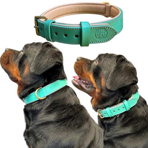 Image of High Graded Premium Leather Dog Collar- Dog Collar for Large Dogs (Green, Size Neck - X Large (22.5-26.5 Inch))