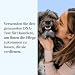 Wisdom Panel Essential – Hunde-DNA-Test für Ahnen, Rassen, Eigenschaften und Gesundheitstests
