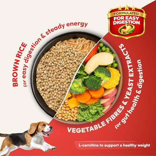 Image of DatGud Adult Dry Dog Food, Chicken & Brown Rice, 6 kg(3 kg + 3 kg Free) | Complete & Balanced Nutrition | Weight Management Support | Glucosamine for Joints | Easy Digestion | Healthy Skin & Coat