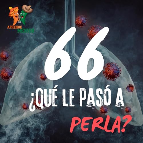 Episodio 66 - &iquest;Qu&eacute; le pas&oacute; a Perla?