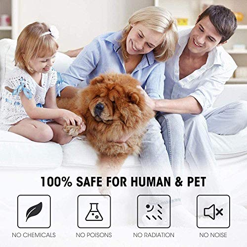 Ultrasonic Pest Repeller 6 Pack, Pest Repellent Plug in Indoor Pest Control for Mosquito, Insects,Cockroaches, Mouse, Rats, Bug, Spider, Ant, Rodent, Human & Pet Safe