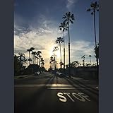 pink bob wig costume  Pink Wigs Whips and Chains