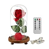 ♥ "La Bella y la Bestia" Kit de Rosa Roja. Incluye una rosa de seda roja, tira de luz led, algunos pétalos caídos, una cúpula de vidrio, una base de madera