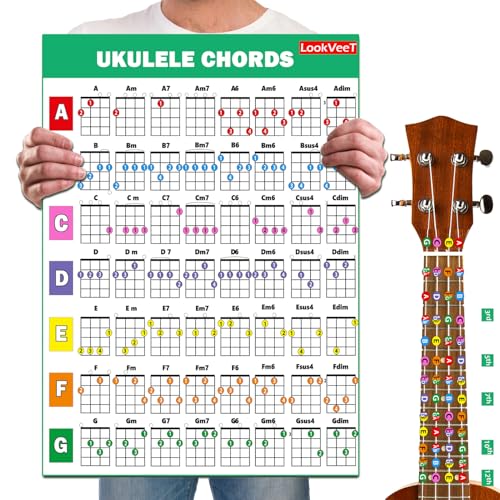 LookVeeT Ukulele Chord Chart Poster For Beginner And Portable A4 Laminated Chords