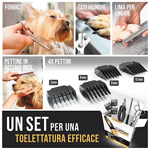 PetKing Premium