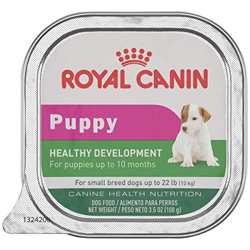 Royal Canin Canine Health Nutrition Puppy In Gel Tray Dog Food, 3.5oz