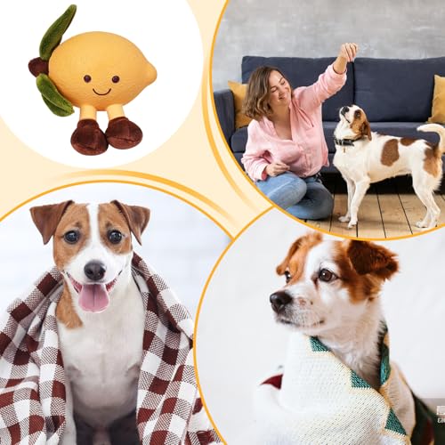 Proypiax Hundespielzeug Plüsch,Interaktive Frucht Hundekauspielzeuge mit Quietschfunktion | Interaktives Stopftier Für Mittelgroße Bis Große Hunde Welpen Geschenk Zu Weihnachten Geburtstag Zuhause