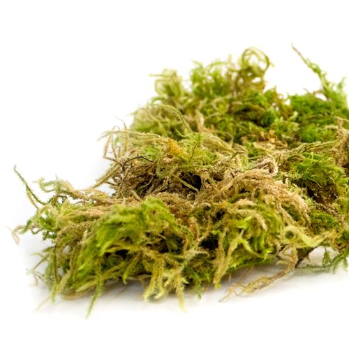 Image of SuperMoss 7 59834 21706 0 Moss, Appx. 25 lb Bale, Natural Dried