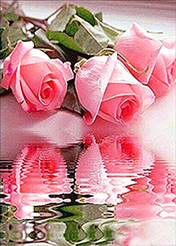 ESOOR 5D DIY Diamond Painting, Cross Stitch DIY Diamond Kits de peinture Arts Red Rose 12X16 pouces